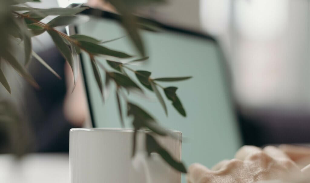 Elternsprechtag 2024